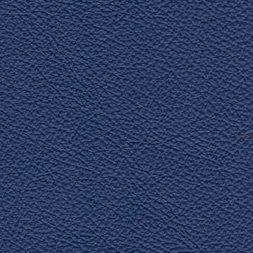 Sierra-1307 navy